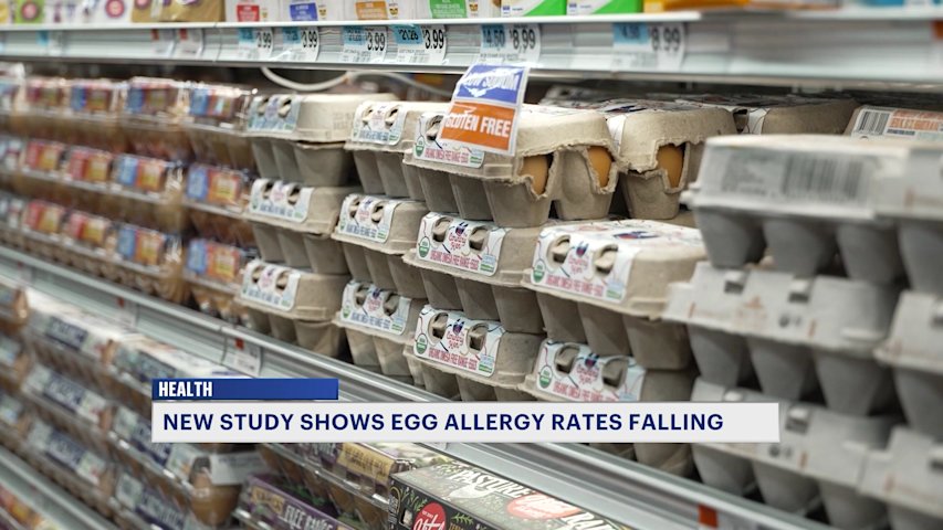 Video thumbnail for New study shows egg allergies are falling among children