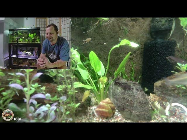 Video thumbnail for May 08, 2025 - Late Night Aquarium Thoughts