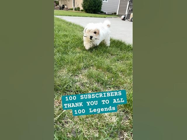 Video thumbnail for 1 K NEXT #shorts