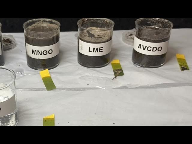 Video thumbnail for 🌲Making the garden even juicier 💦