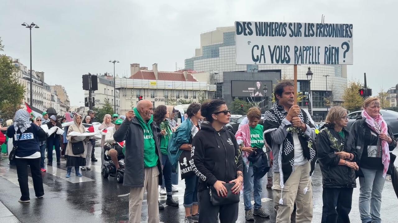 Video thumbnail for France: Pro-Palestinian protesters march in Paris with olive branches and kites.