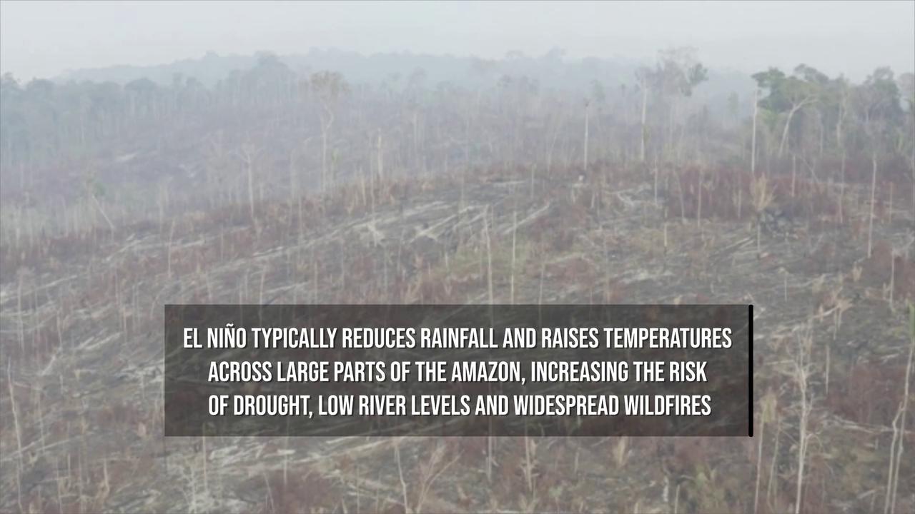 Video thumbnail for Powerful El Niño Raises Fears of Severe Amazon Drought.