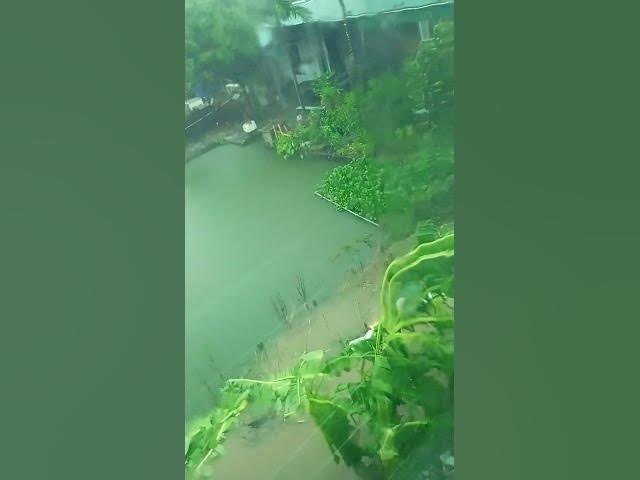 Video thumbnail for Bão số 4 năm 2024