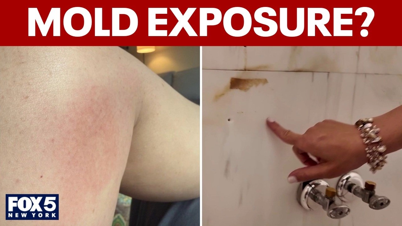 Video thumbnail for EXCLUSIVE: Tenants battle landlord over apartment conditions