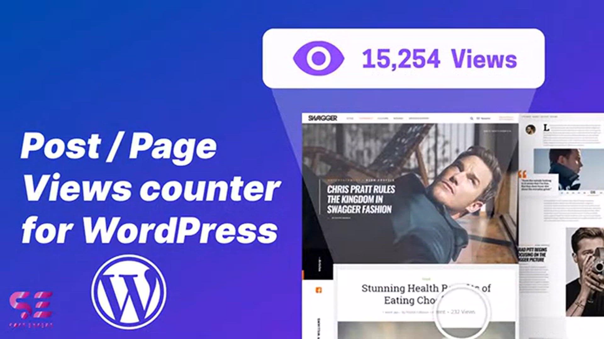 'Video thumbnail for How to add Page Views Counter in WordPress'