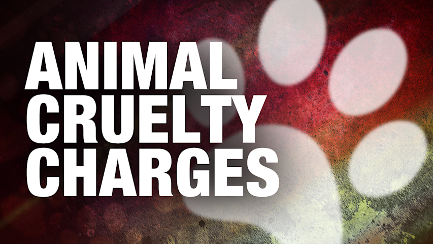 Video thumbnail for Central Islip woman charged after allegedly using shattered glass to deter animals in apartment complex