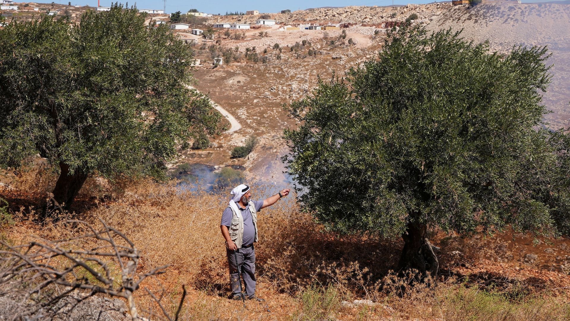 Video thumbnail for Israeli settlers burn Palestinian olive groves as West Bank raids intensify