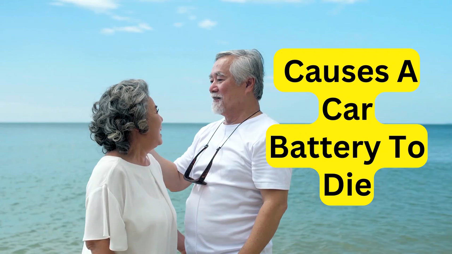 'Video thumbnail for What Causes A Car Battery To Die'