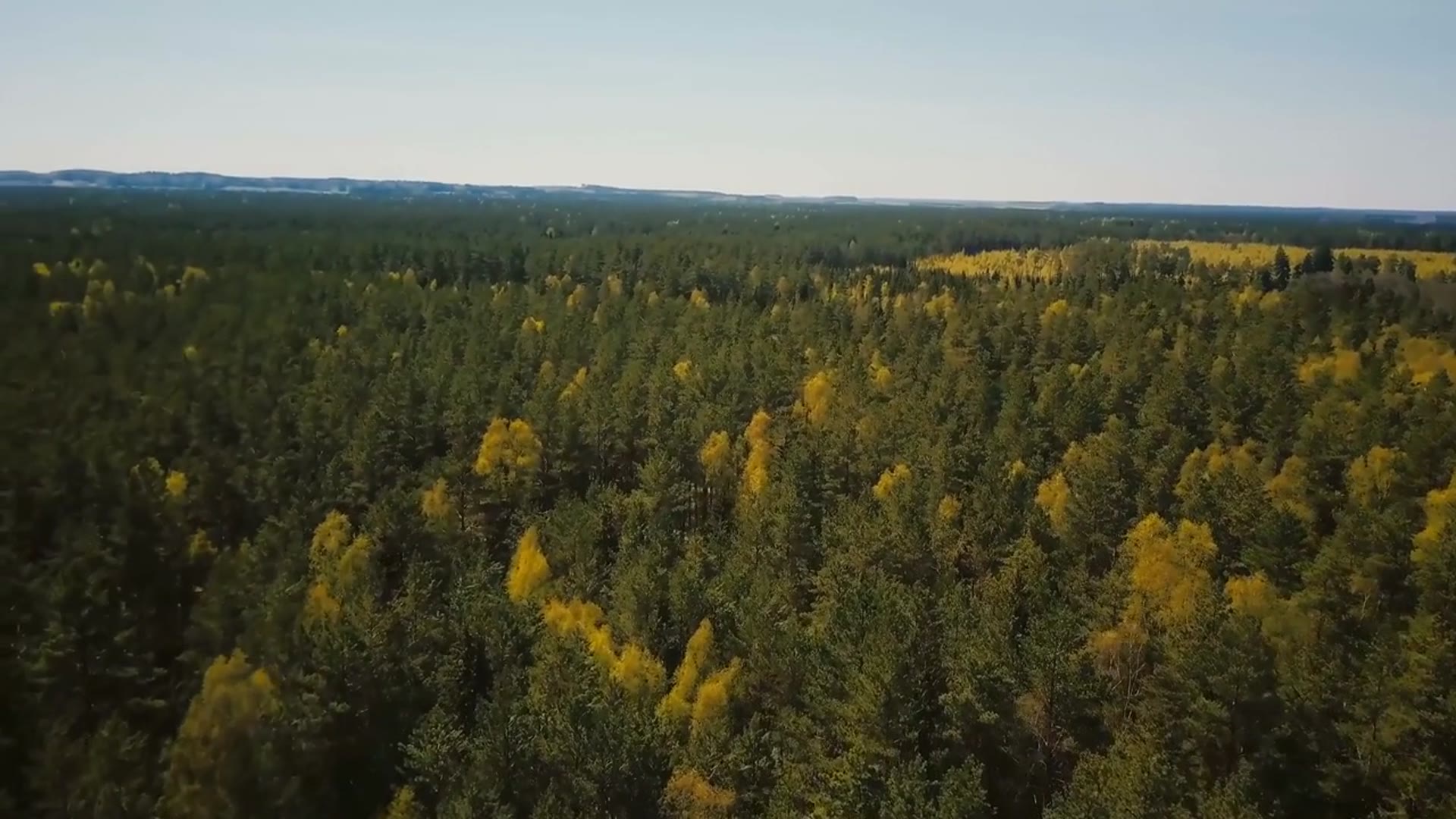 'Video thumbnail for Failed! States that have attempted to split and failed.'