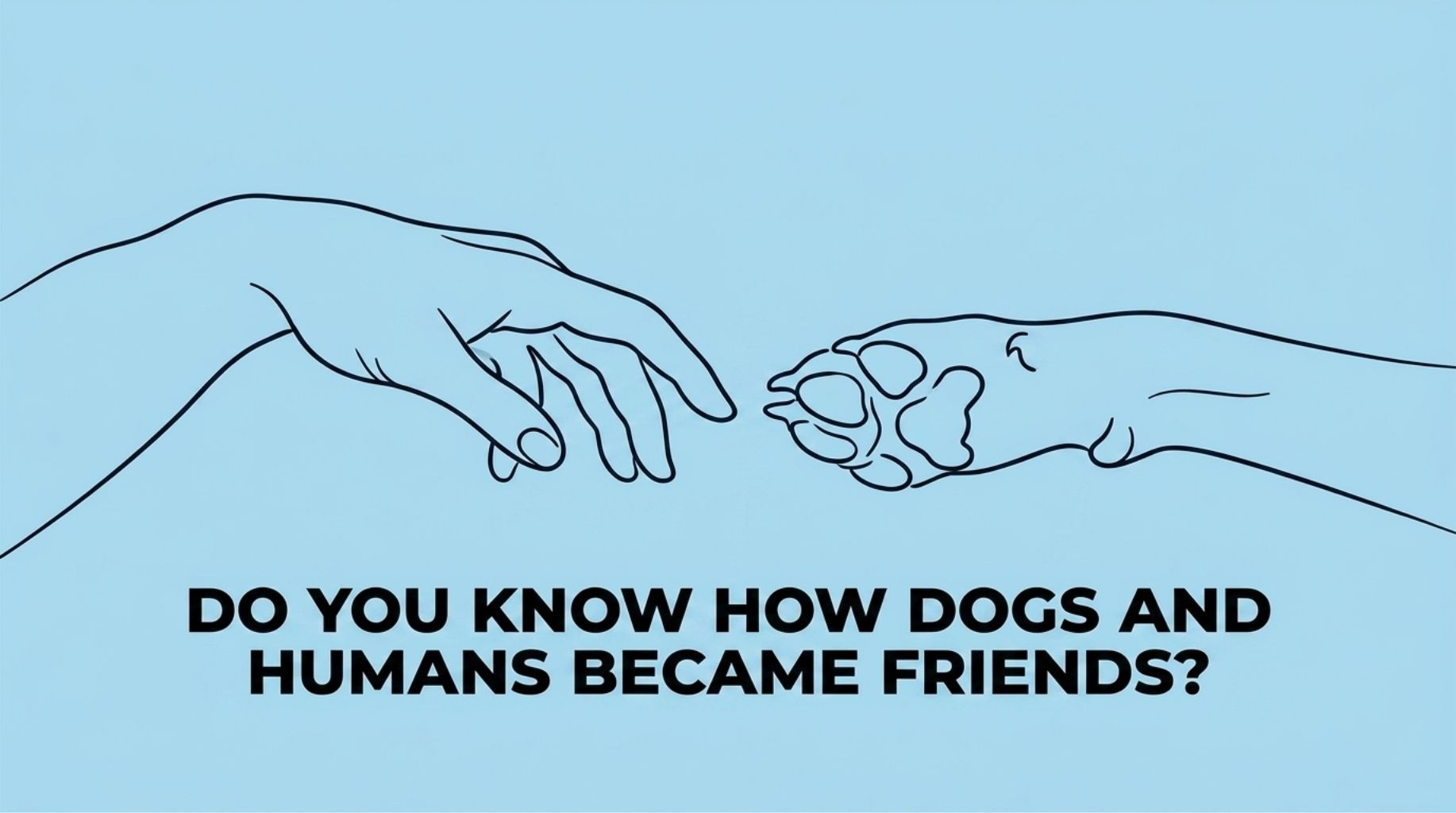 Video thumbnail for Do You Know How Dogs and Humans Became Friends?