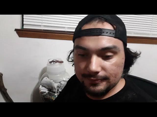 Video thumbnail for Meet my brother