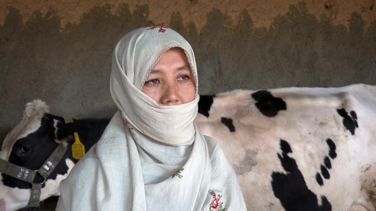 Video thumbnail for Afghanistan: Woman Builds Dairy Farm From Scratch in Ghazni.