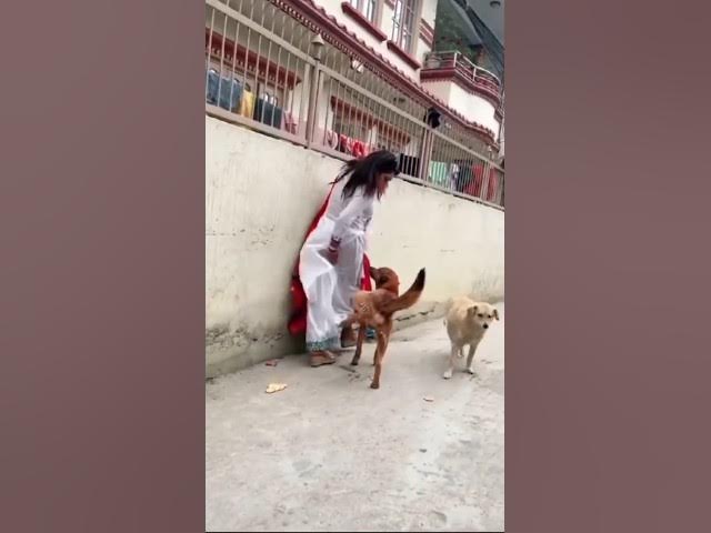 Video thumbnail for #fun #laugh #humor #crazy #jokes #lol #entertainment #humour #funny #intags  #joker #joke