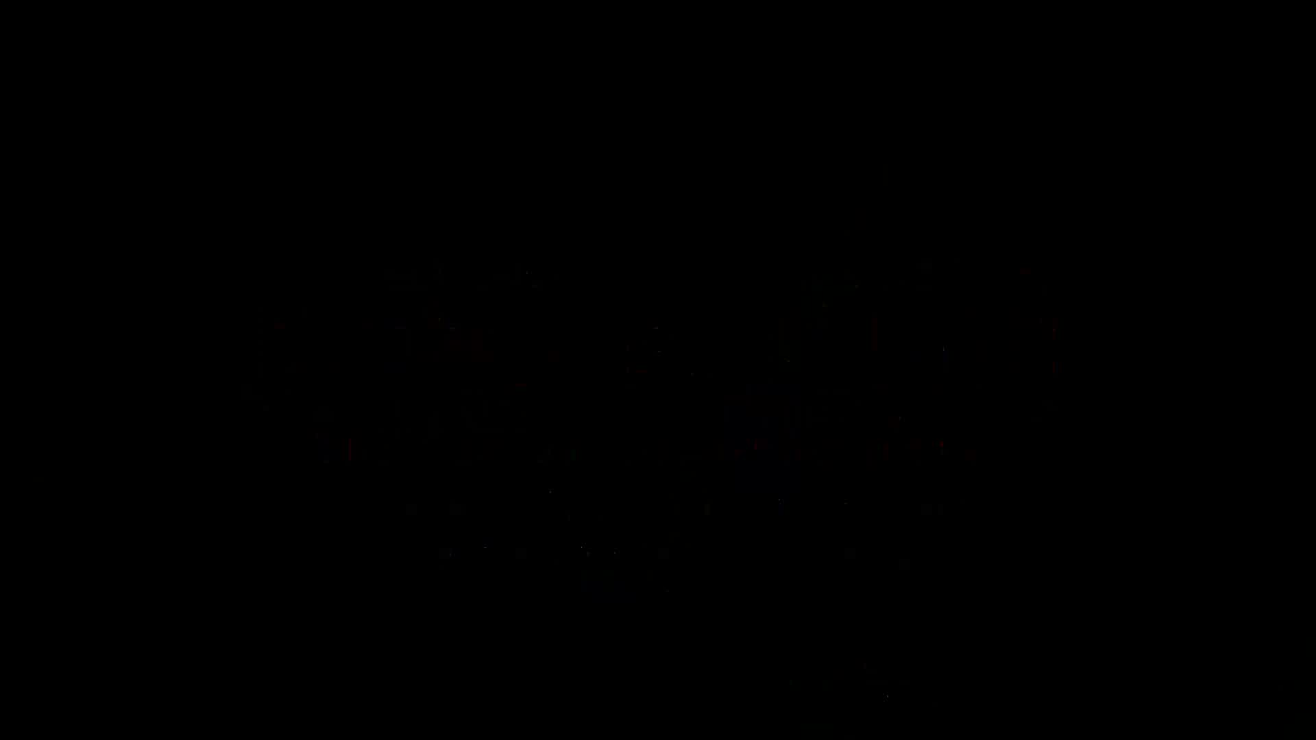 Video thumbnail for The Fox of the Palmgrove Trailer.mp4