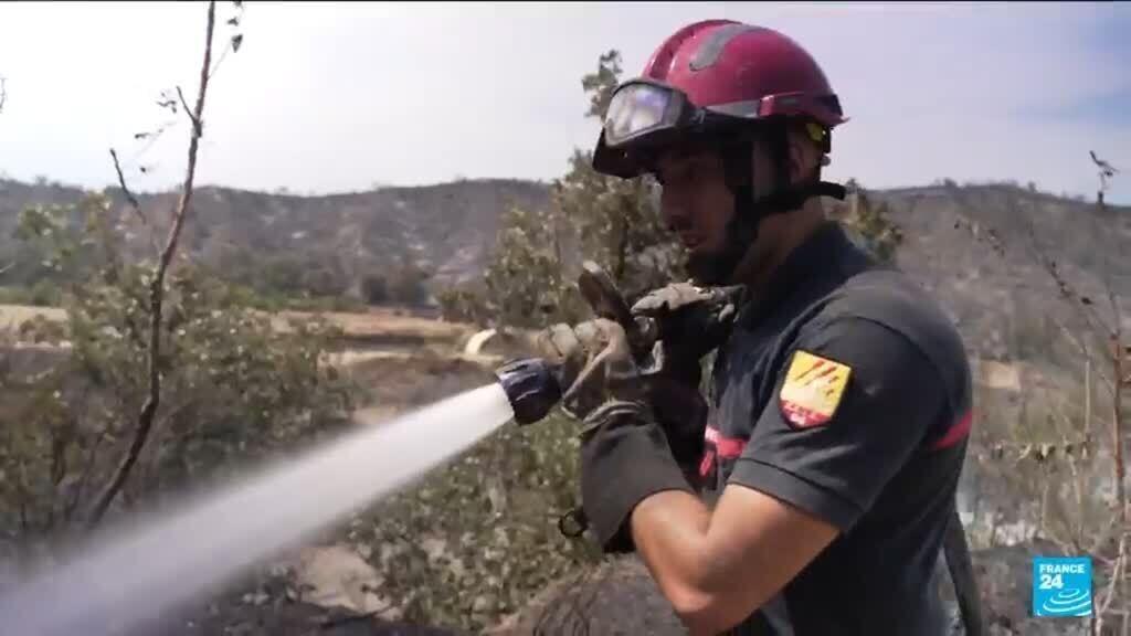 Video thumbnail for France - Wildfires: 1,500 evacuated from campsites near Perpignan