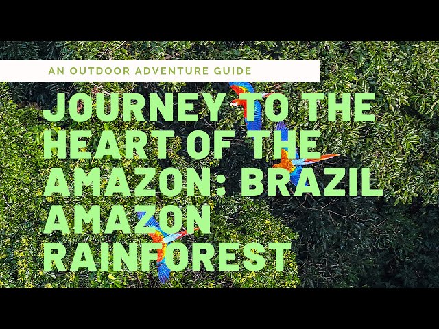 Video thumbnail for Journey to the Heart of the Amazon: Discovering the Lost Tribe | Episode 2 | Brazil