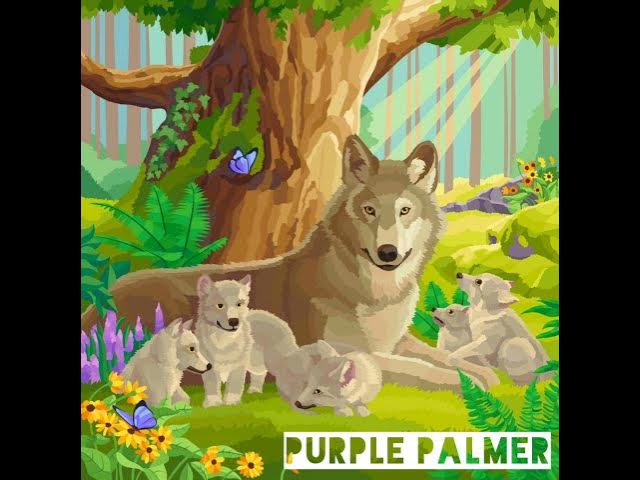 Video thumbnail for Palmer two coloring pages RTYLG001