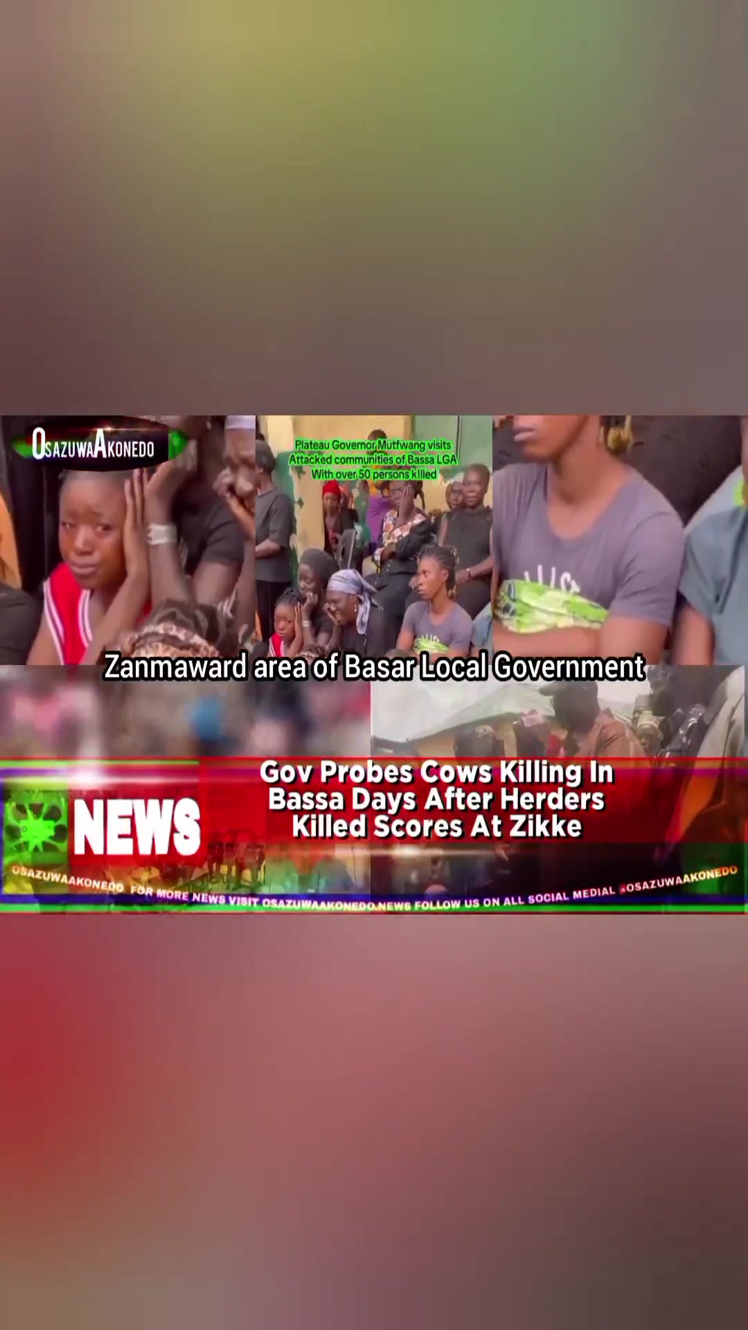 Video thumbnail for Gov Probes Cows Killing In Bassa Days After Herders Killed Scores At Zikke