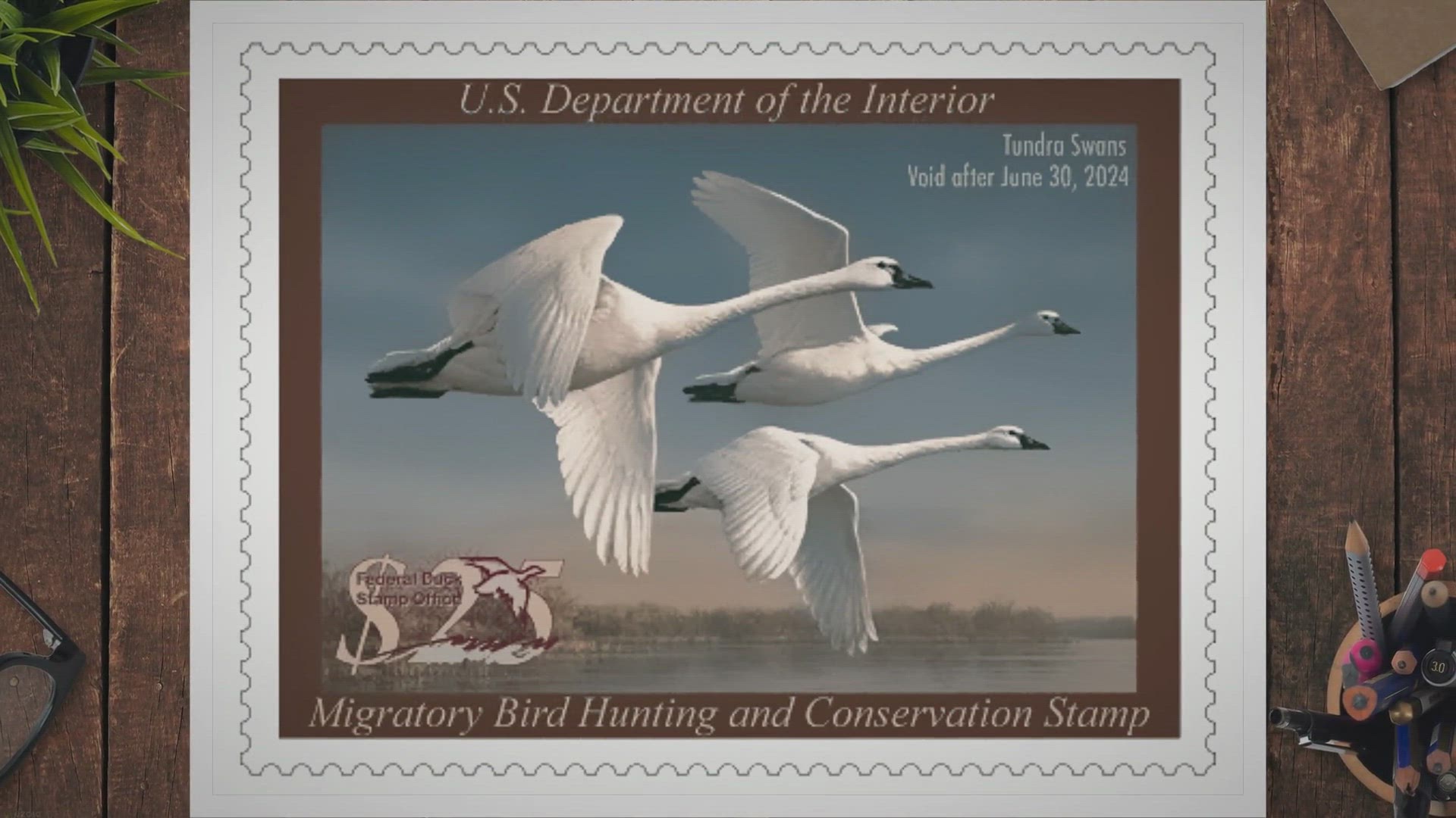 Video thumbnail for How Much is a Kansas Duck Hunting License? Find out the Cost and Requirements