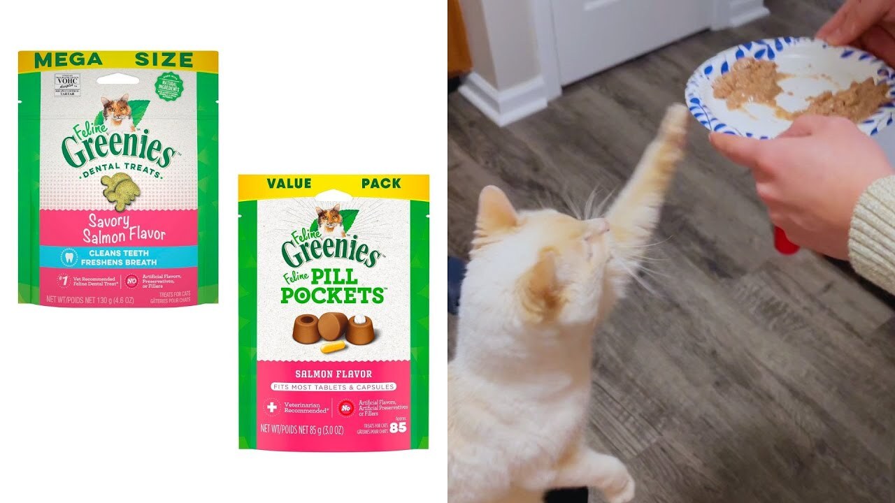 Video thumbnail for How To Give A Cat A Pill | Cat Care Routine