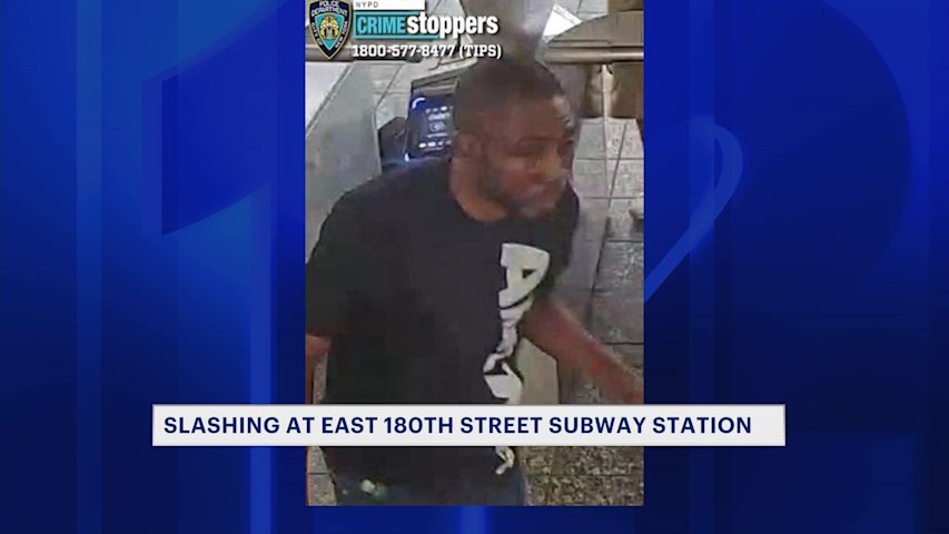 Video thumbnail for Suspect sought in East 180th Street subway station slashing