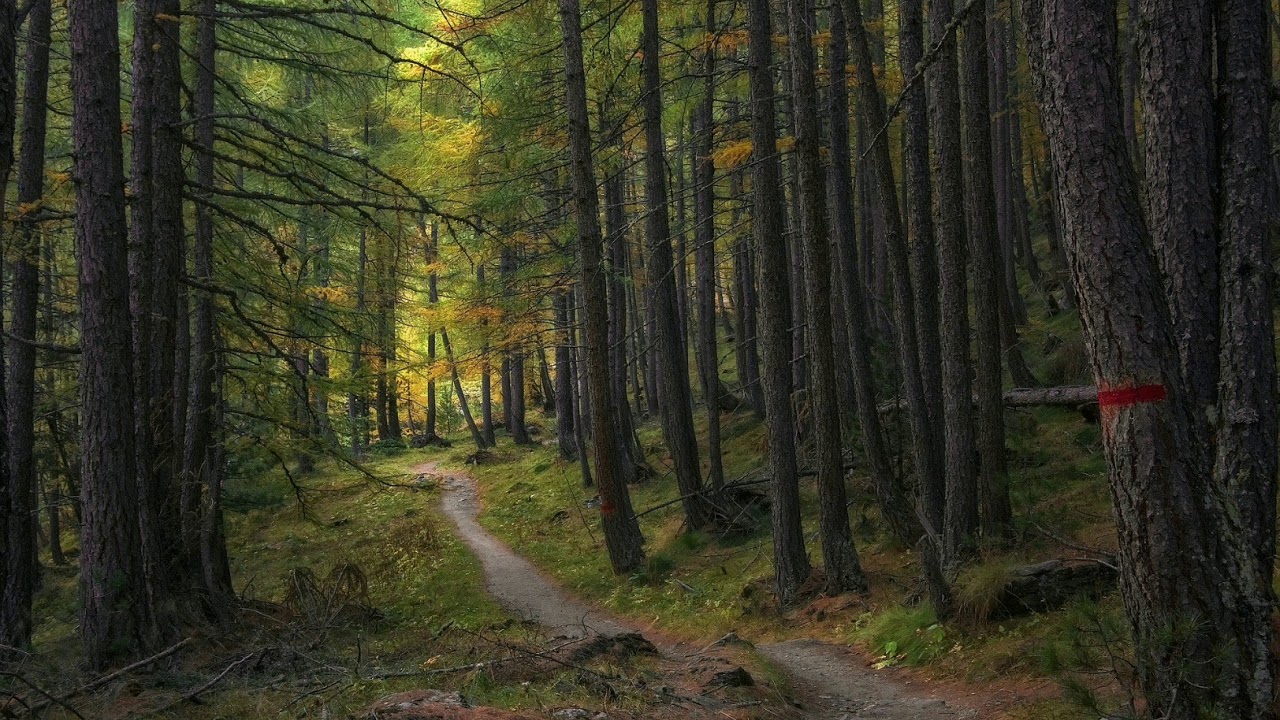 Video thumbnail for Relaxing Music, Calm Music, Meditation Music,  Healing Music, Relaxing Sleep Music, Insomnia, Relax