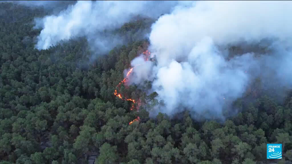Video thumbnail for France: 2,000 hectares lost in forest fires