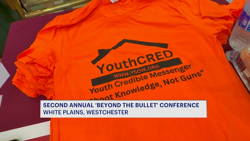 Video thumbnail for Youth Shelter of Westchester hosts 2nd annual gun prevention conference