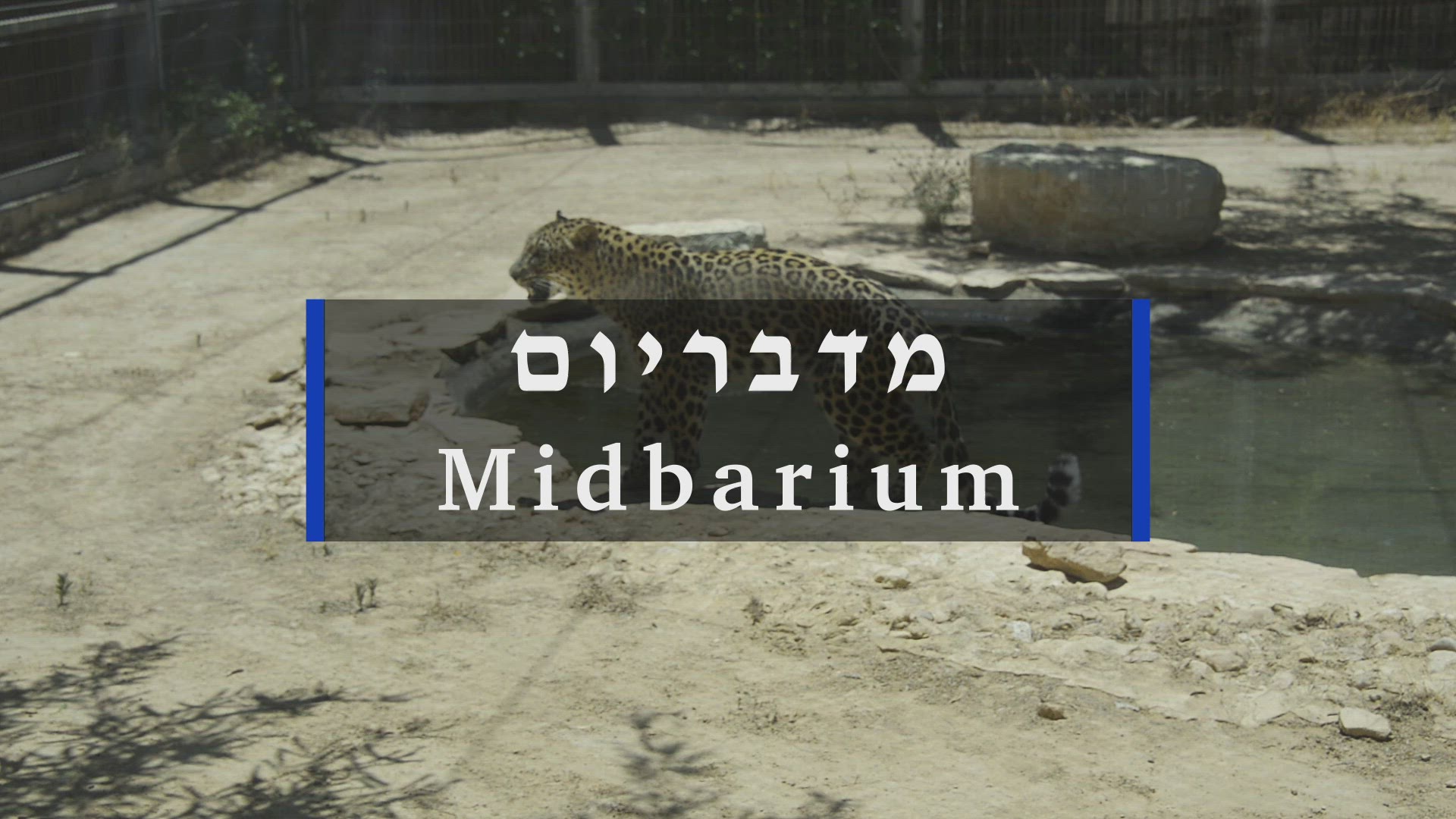 'Video thumbnail for Midbarium'