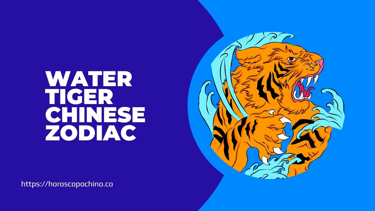 'Video thumbnail for Water tiger chinese zodiac: video blog'