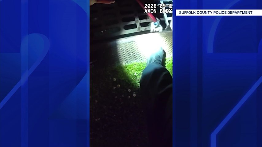Video thumbnail for Police rescue kitten from sewer drain in Coram