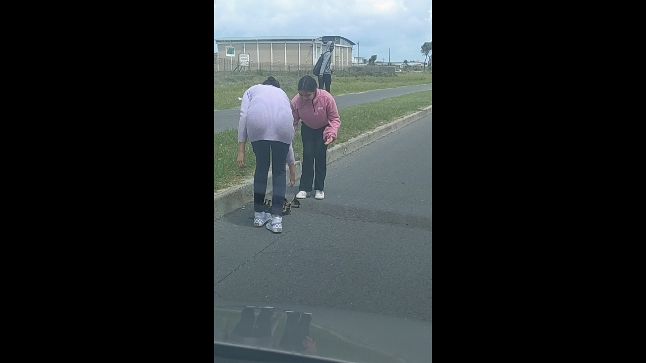Video thumbnail for Kids Rescue Duck Family Crossing Busy Cape Town Road
