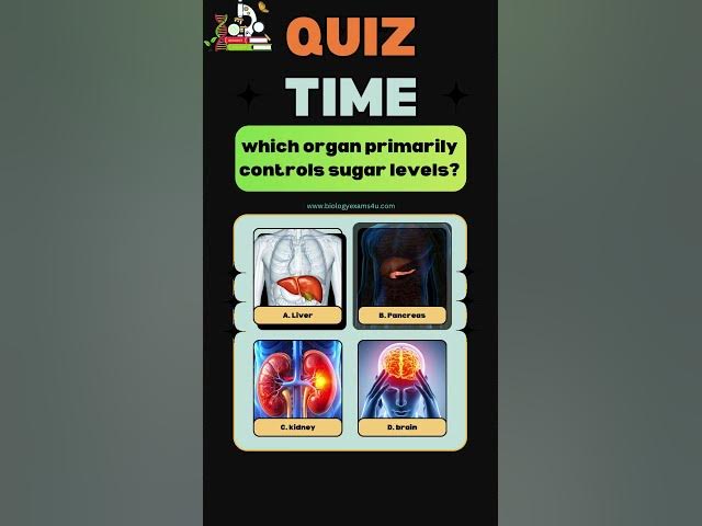Video thumbnail for Which organ controls blood sugar levels?