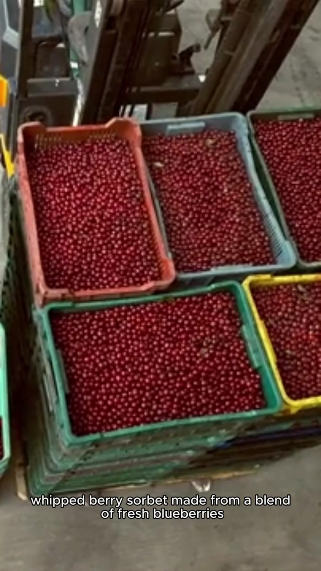 Video thumbnail for Snowberry Drift