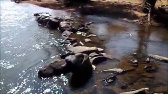 'Video thumbnail for Ganeshpal Sirsi/'