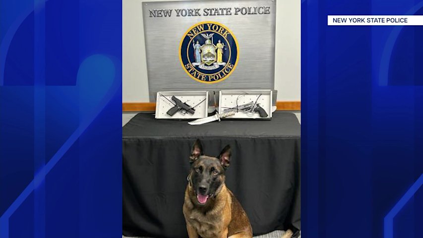 Video thumbnail for State police find loaded gun during traffic stop on LIE