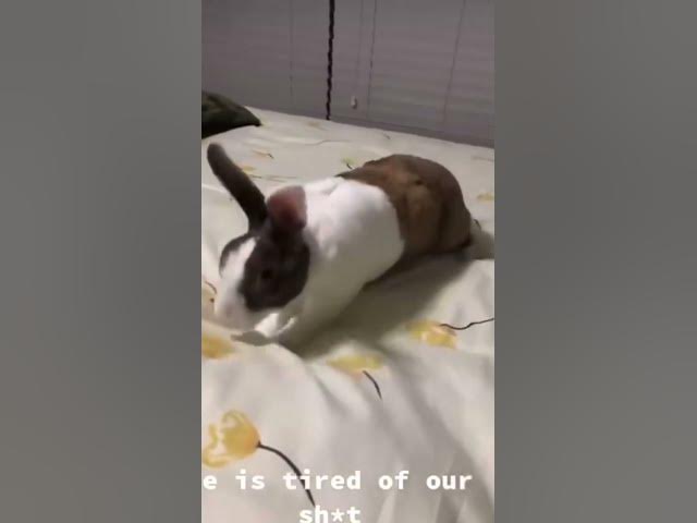 Video thumbnail for February 23, 2023