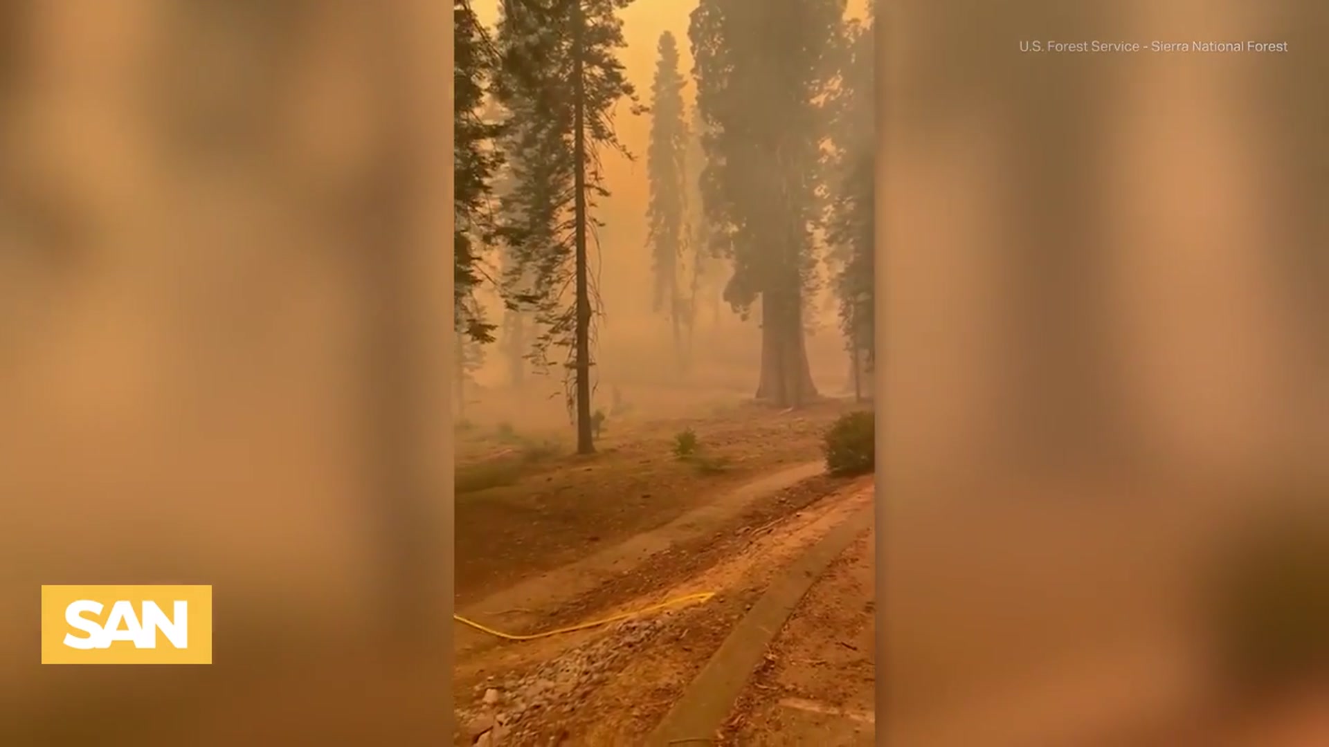 'Video thumbnail for Firefighters race to protect 2,000-year-old sequoia grove from burning'