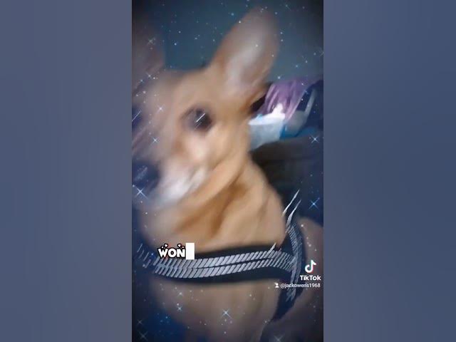 Video thumbnail for come check this