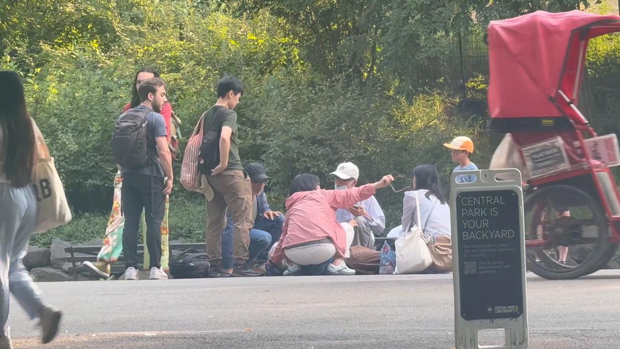 Video thumbnail for US: An Old Chinese Woman Hit By A Biker in Central Park 5.