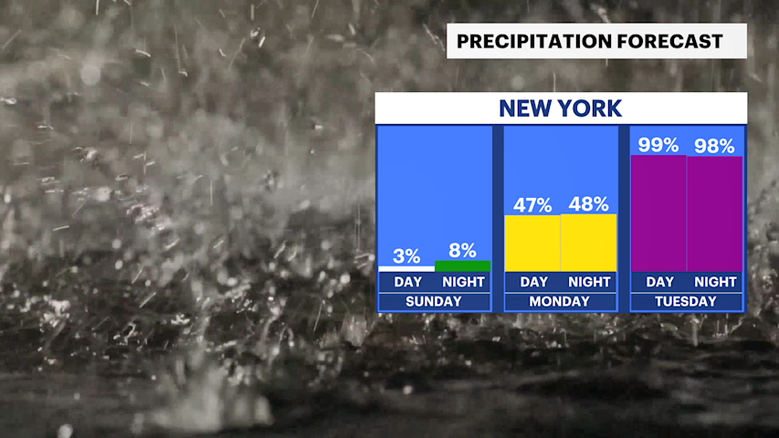 Video thumbnail for Sunny skies, warm temperatures for Sunday before rain returns next week for Brooklyn