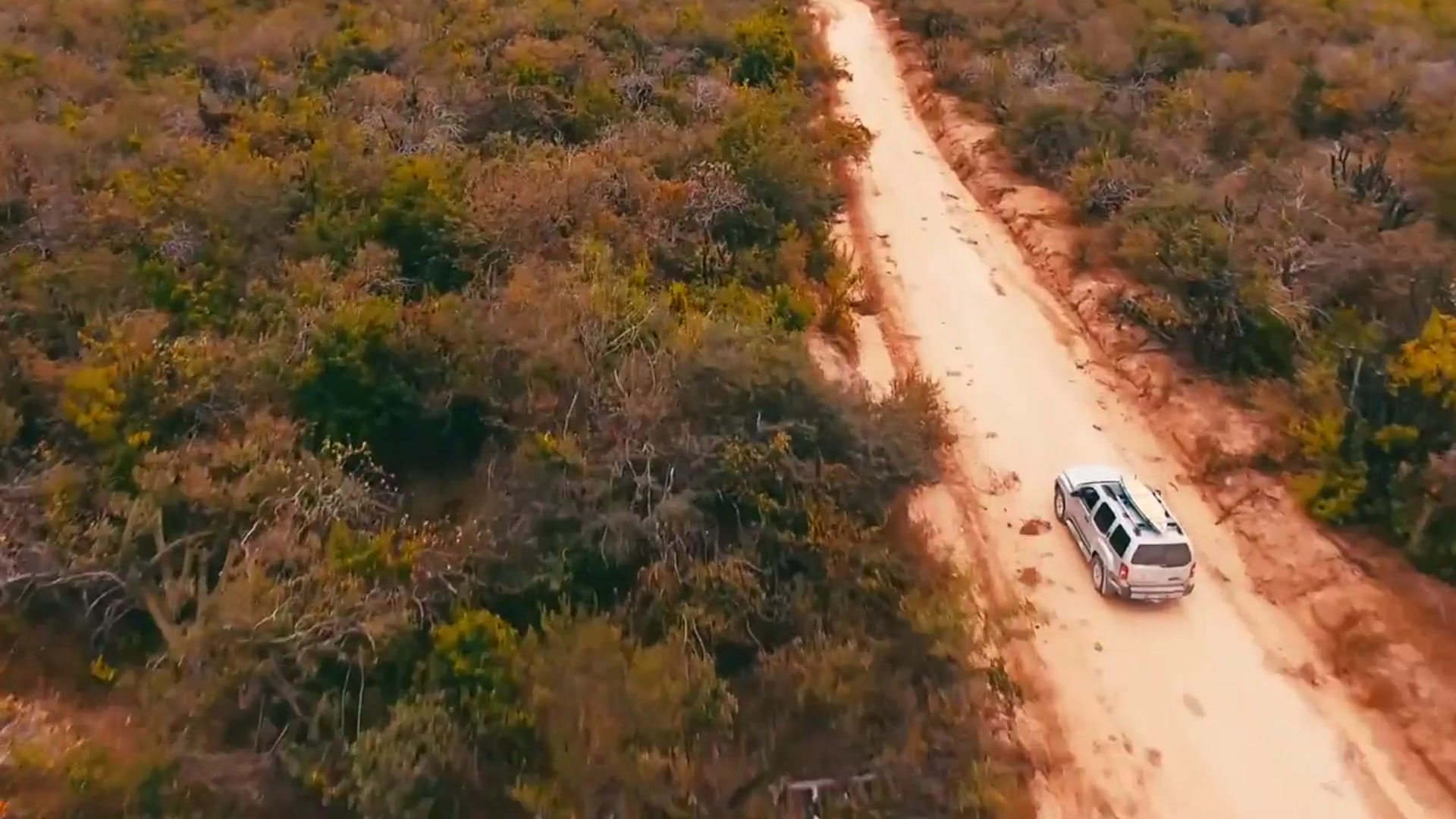 'Video thumbnail for BAJA CRUISIN''