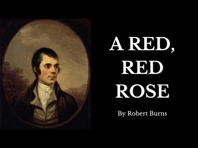 'Video thumbnail for 🔥Best Love Poetry - A Red, Red Rose - By Robert Burns🔥'
