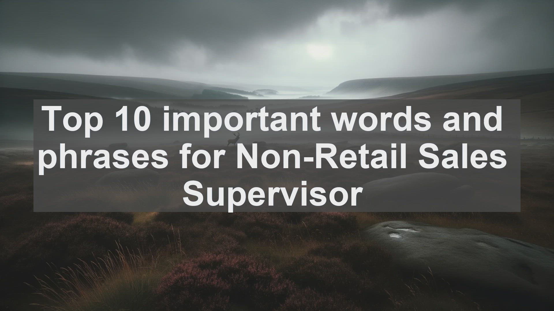 'Video thumbnail for Top 10 important words and phrases for NonRetail Sales Supervisor'