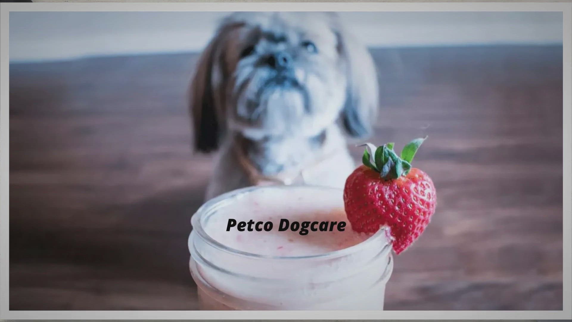 Video thumbnail for What Brand of Yogurt is Good for Dogs? 5 Best Yogurts for Dogs in 2023