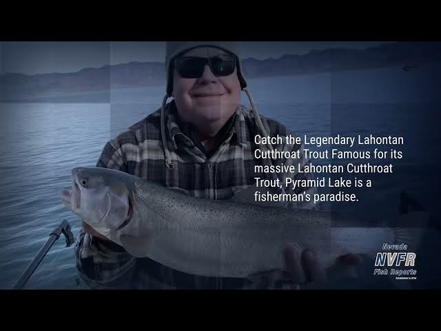 Video thumbnail for 2024 Pyramid Lake Promo