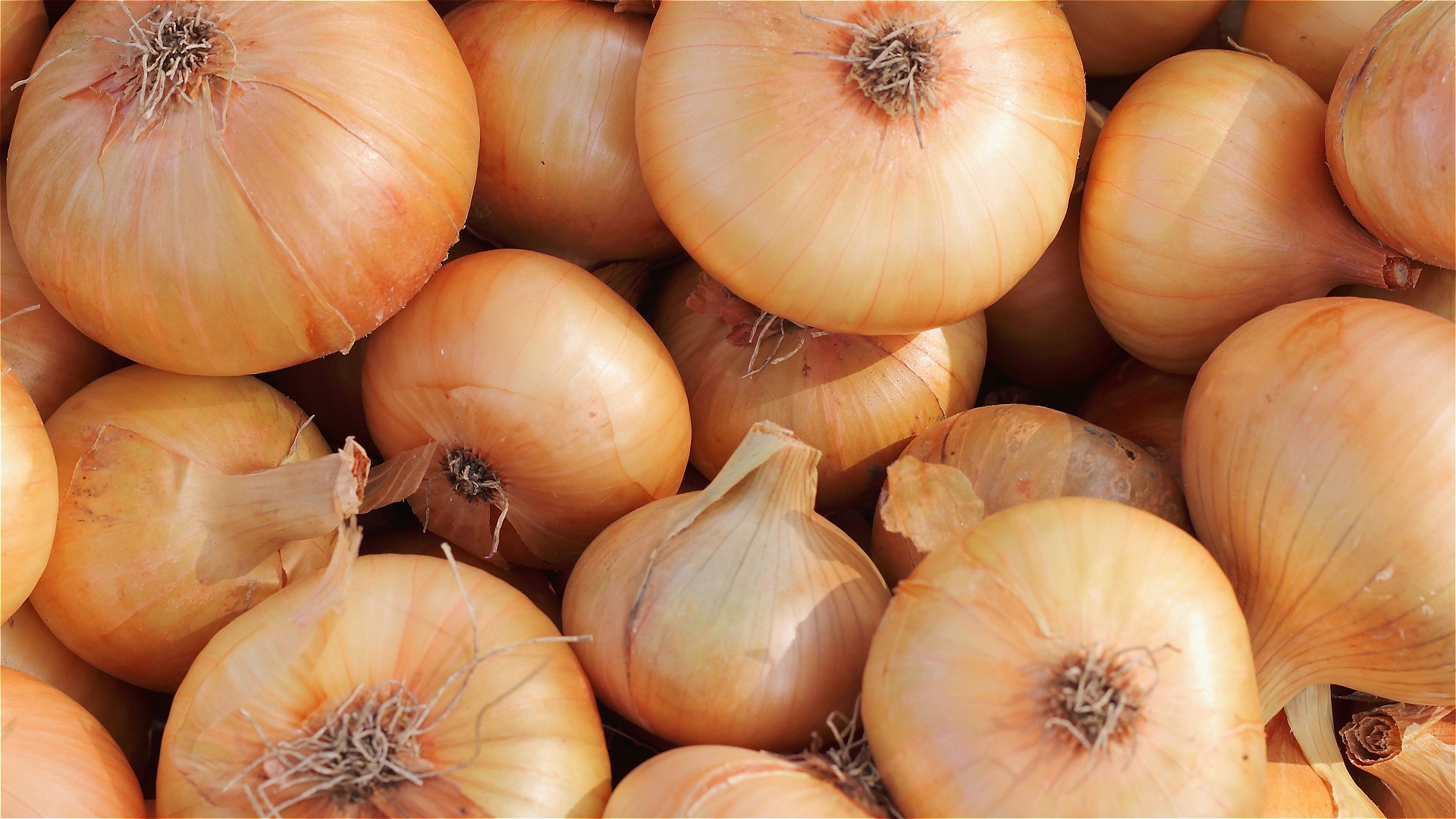 Video thumbnail for You've Been Storing Onions Wrong Your Entire Life