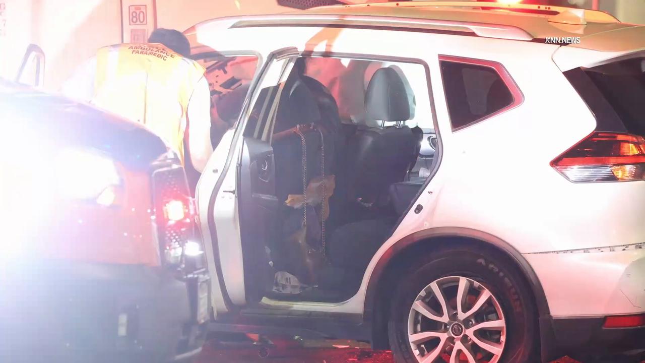 Video thumbnail for US, Bakersfield: Bakersfield Dog Goes Missing Following Pin In Crash With Semi Truck.