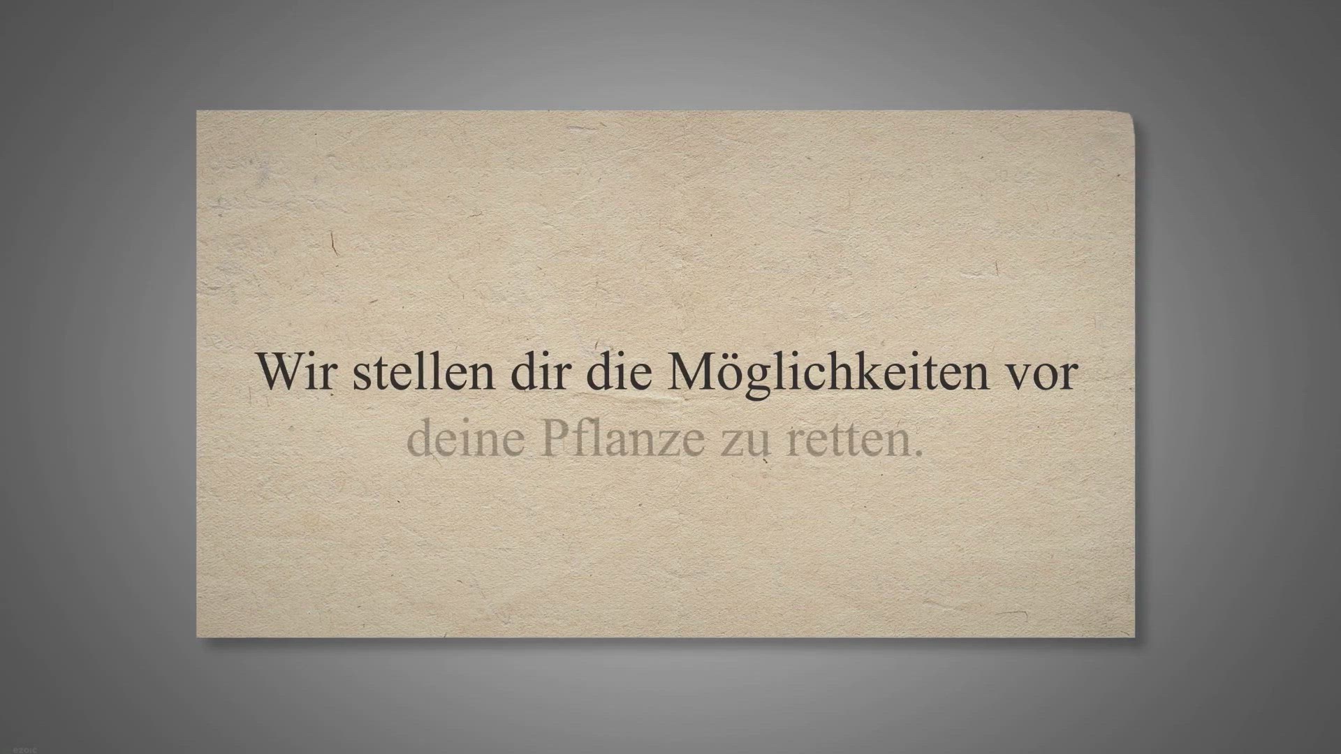 Video thumbnail for Hyazinthen wird braun – Das kannst du tun