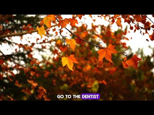 'Video thumbnail for Autumn Humor: 10 Hilarious Jokes & Puns to Brighten Your Fall Days'